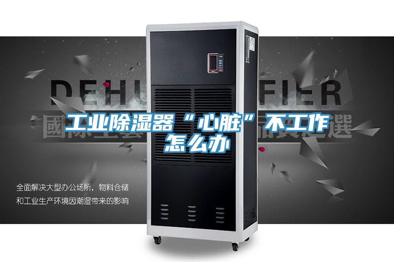工业除湿器“心脏”不工作怎么办