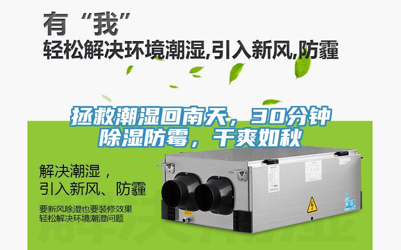 拯救潮湿回南天，30分钟除湿防霉，干爽如秋