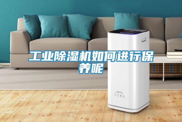 工业除湿机如何进行保养呢