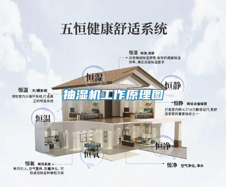 抽湿机工作原理图