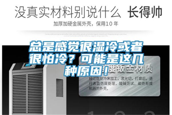 总是感觉很湿冷或者很怕冷？可能是这几种原因！