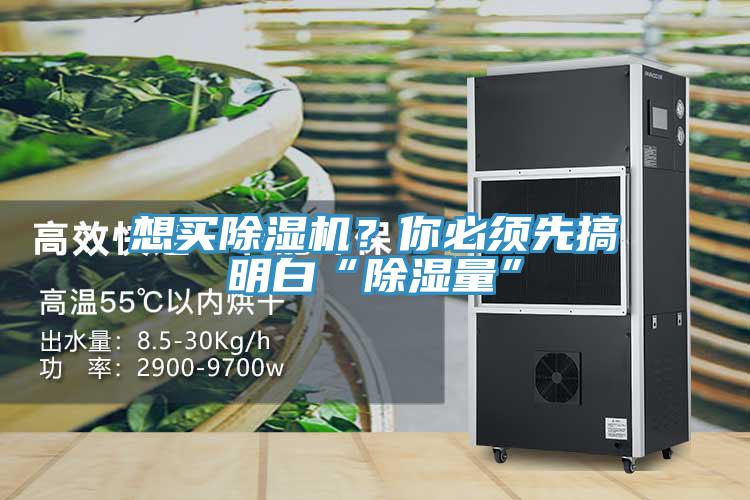 想买除湿机？你必须先搞明白“除湿量”