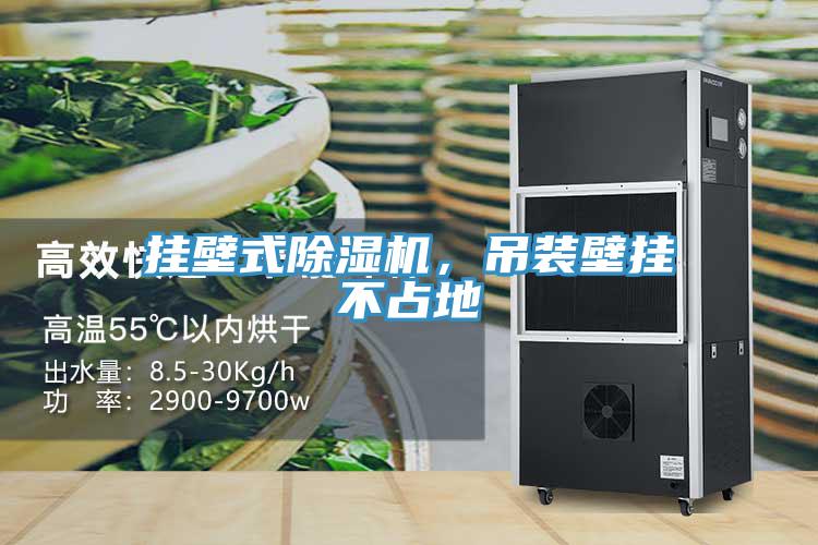 挂壁式除湿机，吊装壁挂不占地