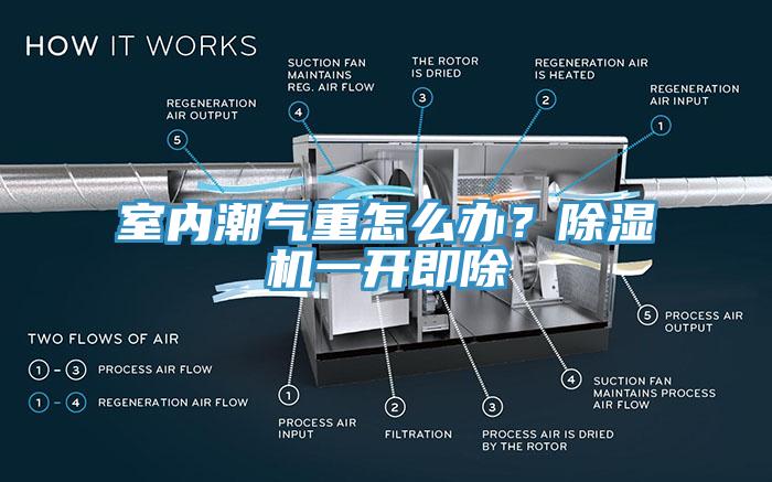 室内潮气重怎么办？除湿机一开即除