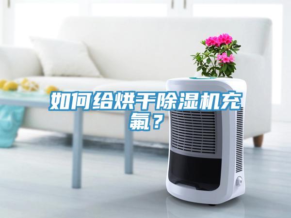 如何给烘干除湿机充氟？