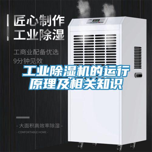 工业除湿机的运行原理及相关知识