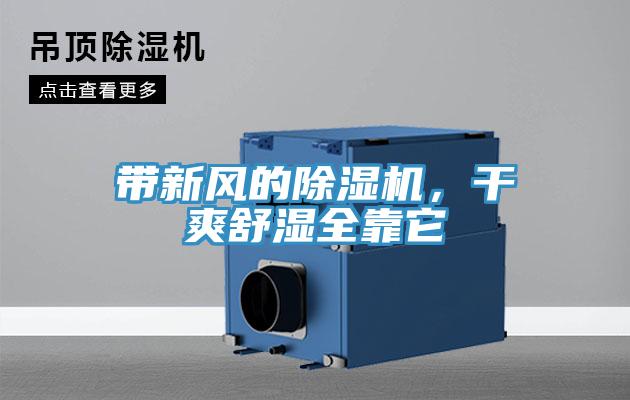 带新风的除湿机，干爽舒湿全靠它