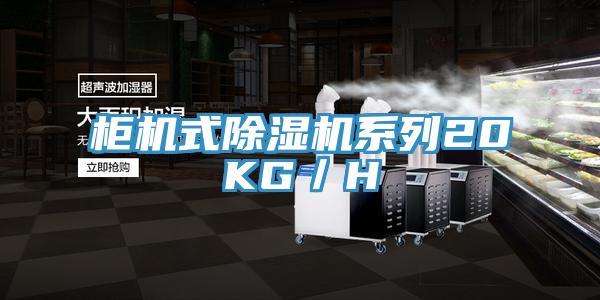 柜机式除湿机系列20KG／H