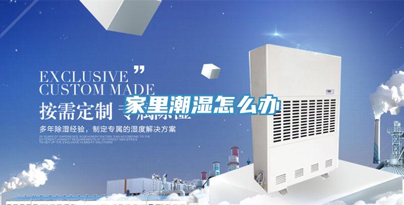 家里潮湿怎么办