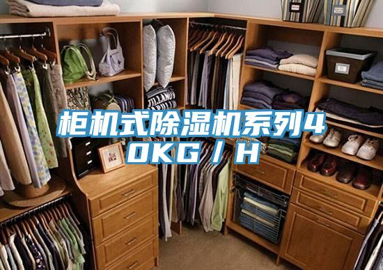柜机式除湿机系列40KG／H