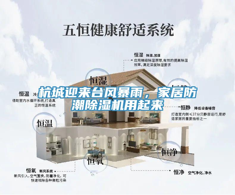 杭城迎来台风暴雨，家居防潮除湿机用起来