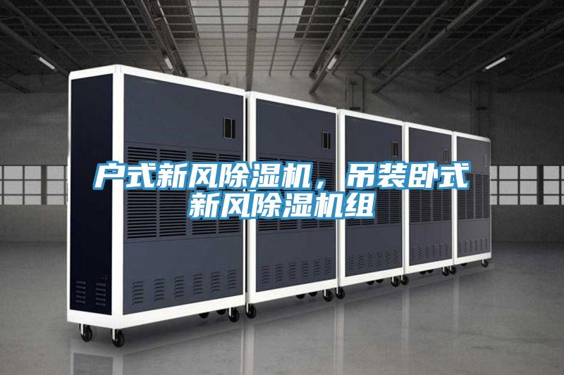 户式新风除湿机，吊装卧式新风除湿机组