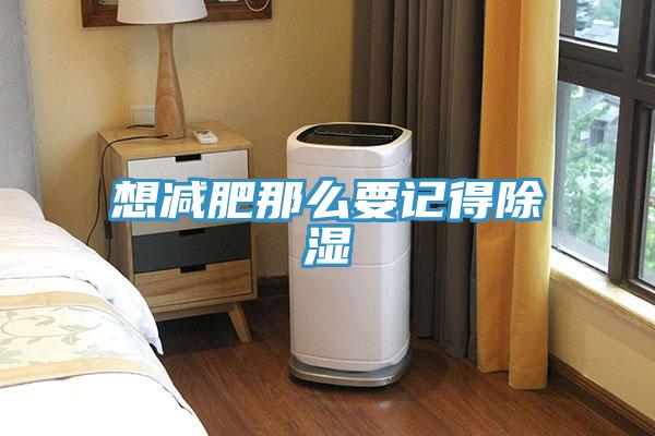 想减肥那么要记得除湿