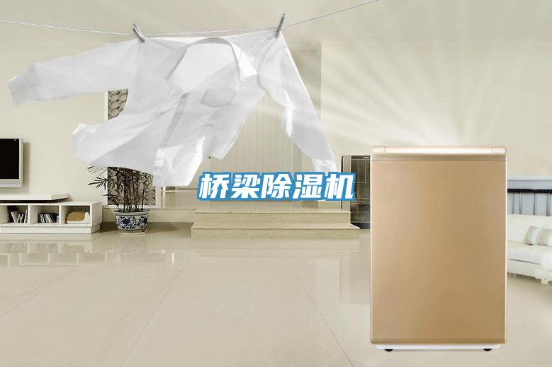 桥梁除湿机