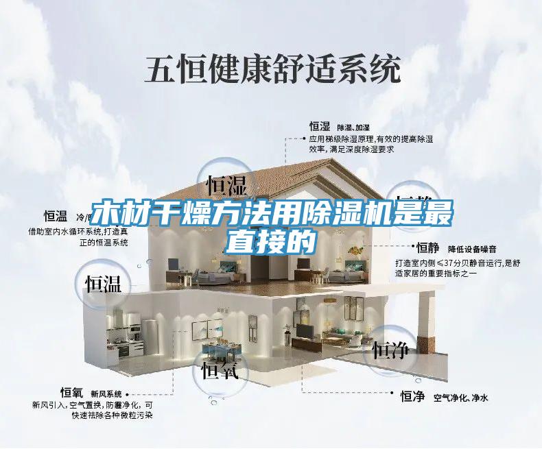 木材干燥方法用除湿机是最直接的