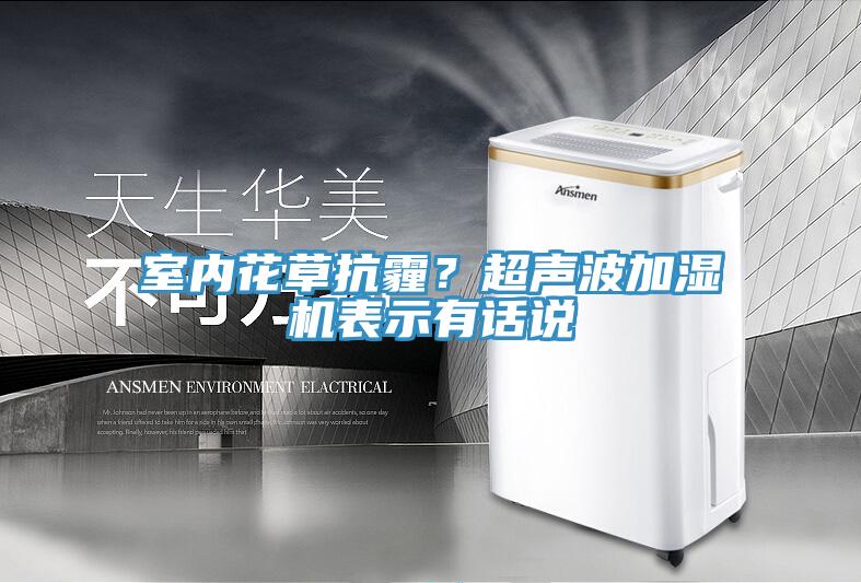 室内花草抗霾？超声波加湿机表示有话说