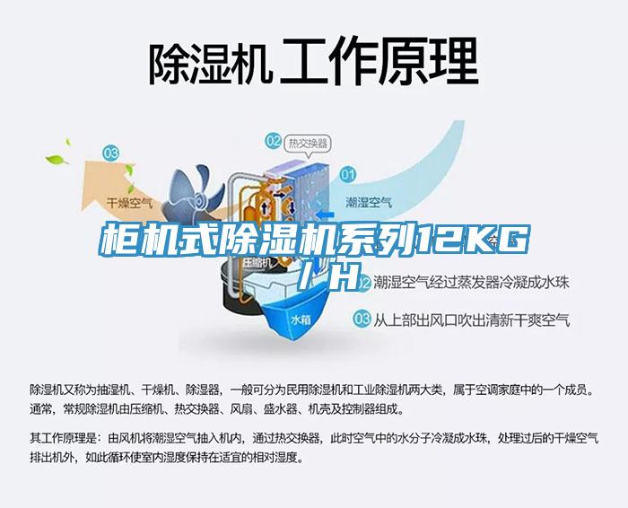 柜机式除湿机系列12KG／H