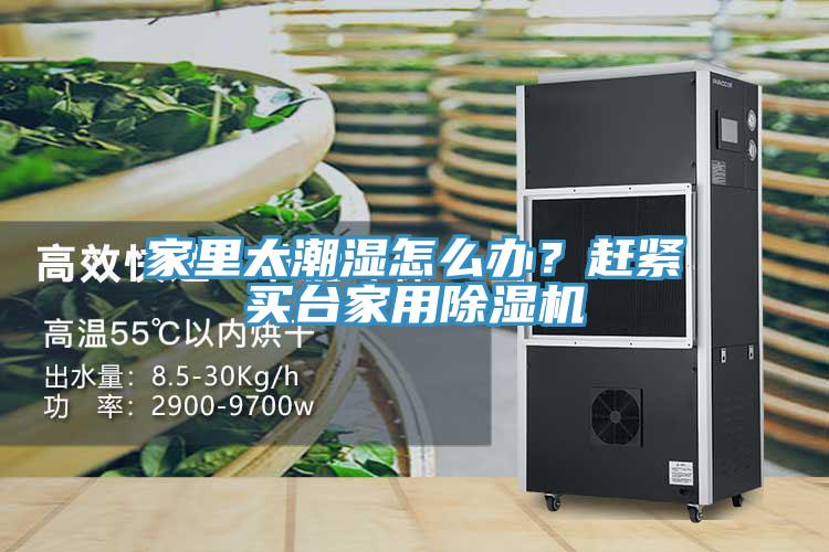 家里太潮湿怎么办？赶紧买台家用除湿机