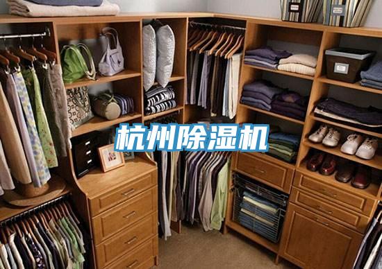 杭州除湿机
