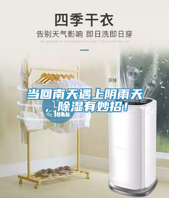 当回南天遇上阴雨天，除湿有妙招！