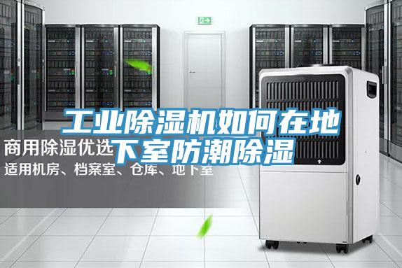 工业除湿机如何在地下室防潮除湿