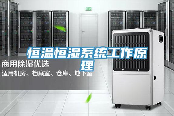 恒温恒湿系统工作原理