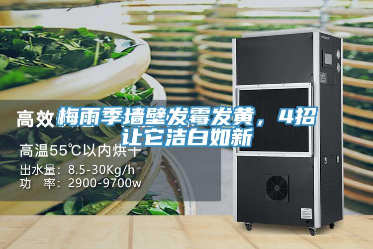 梅雨季墙壁发霉发黄，4招让它洁白如新