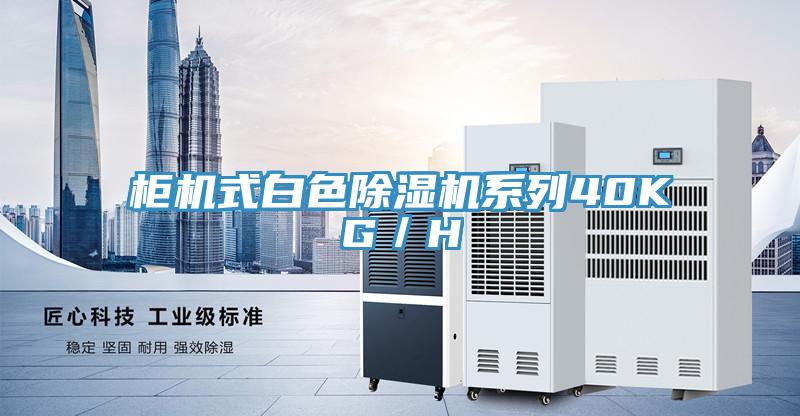 柜机式白色除湿机系列40KG／H