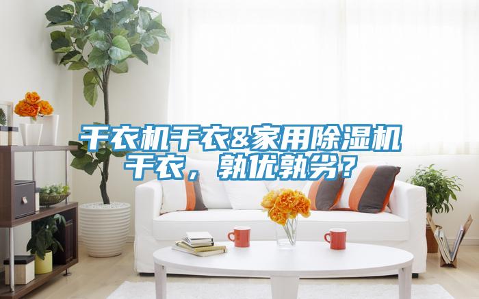 干衣机干衣&家用除湿机干衣，孰优孰劣？