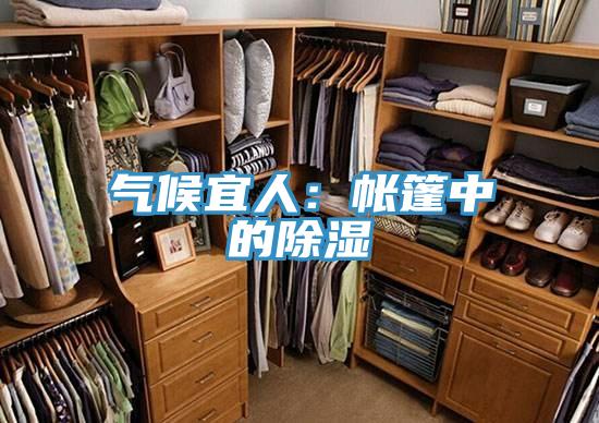 气候宜人：帐篷中的除湿