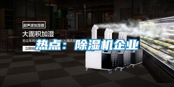 热点：除湿机企业