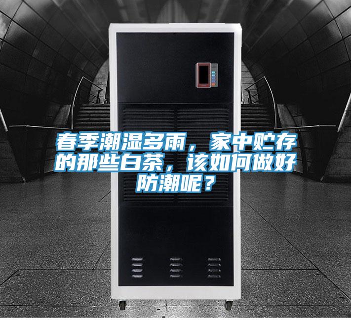 春季潮湿多雨，家中贮存的那些白茶，该如何做好防潮呢？