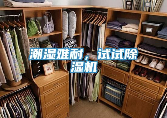 潮湿难耐，试试除湿机