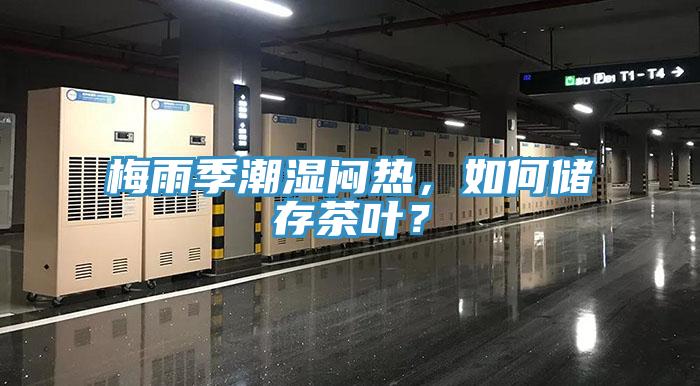 梅雨季潮湿闷热，如何储存茶叶？