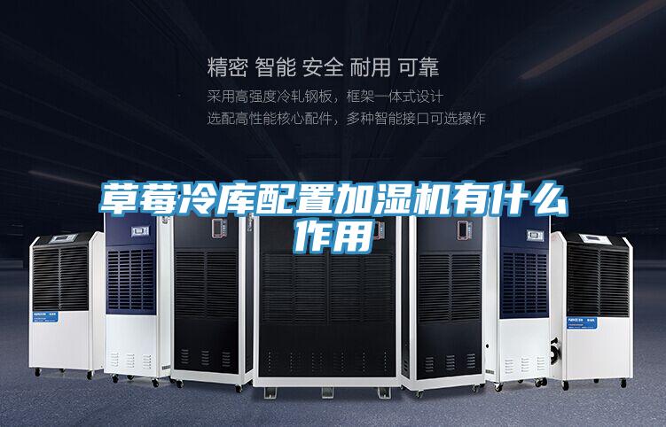 草莓冷库配置加湿机有什么作用