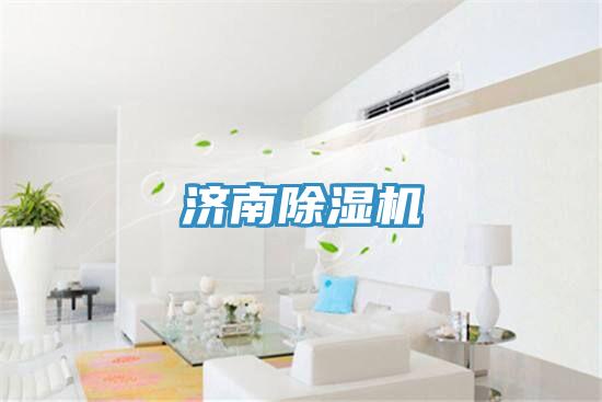 济南除湿机