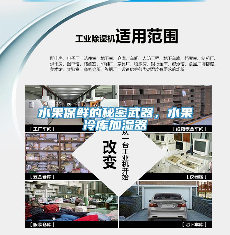 水果保鲜的秘密武器，水果冷库加湿器