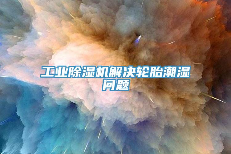 工业除湿机解决轮胎潮湿问题