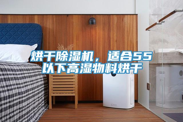 烘干除湿机，适合55℃以下高湿物料烘干