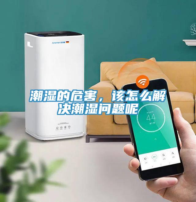 潮湿的危害，该怎么解决潮湿问题呢