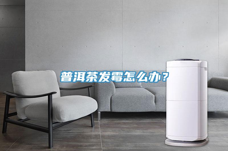 普洱茶发霉怎么办?