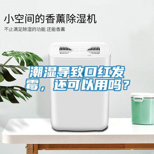潮湿导致口红发霉，还可以用吗？