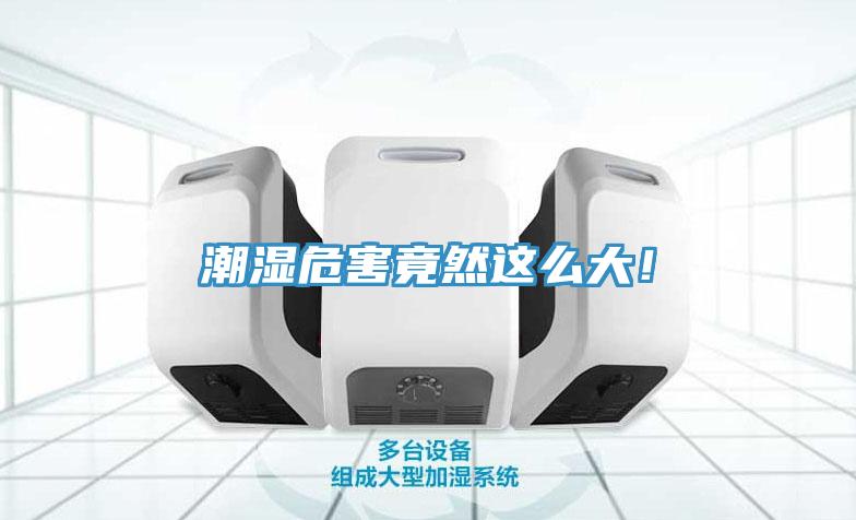 潮湿危害竟然这么大！
