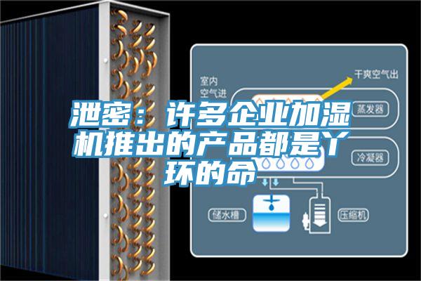 泄密：许多企业加湿机推出的产品都是丫环的命