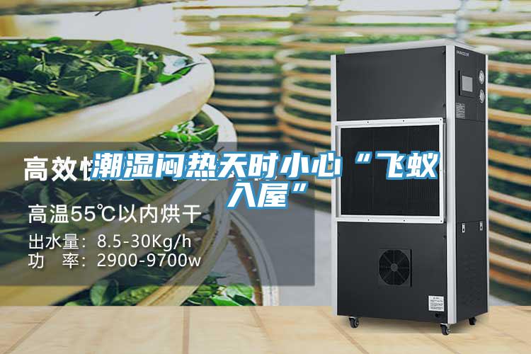 潮湿闷热天时小心“飞蚁入屋”