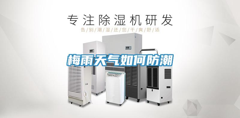 梅雨天气如何防潮