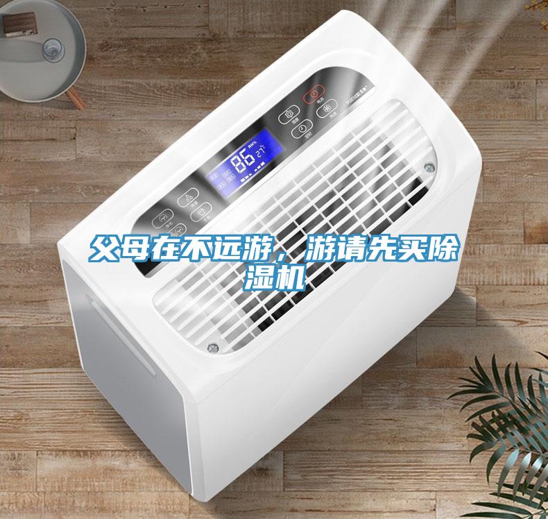 父母在不远游，游请先买除湿机