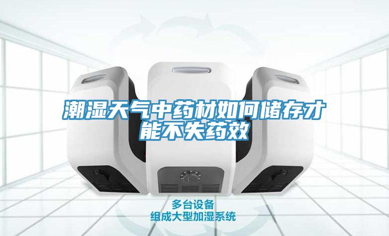 潮湿天气中药材如何储存才能不失药效
