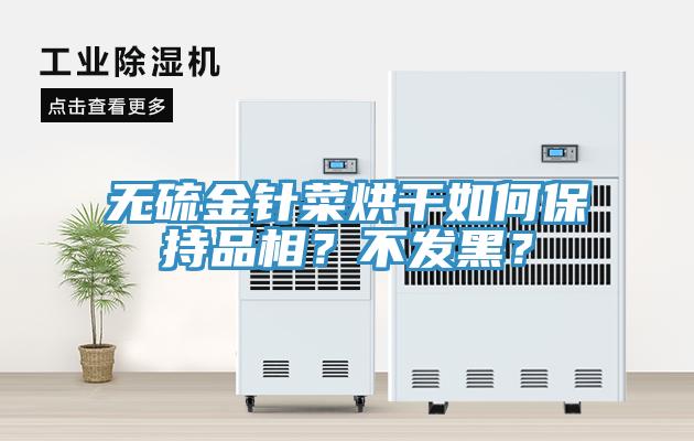 无硫金针菜烘干如何保持品相？不发黑？