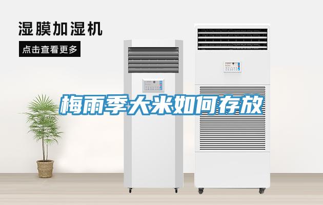 梅雨季大米如何存放
